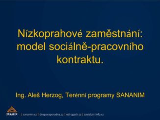 Prezentace na téma Nízkoprahové zaměstnání Aleše Herzoga z konference Rozkoše bez Rizika 2012