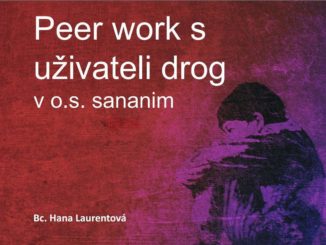 Peerwork s uživateli drog - prezentace Bc. Hany Laurentové pro konferenci České asociace streetwork (ČAS) Nízkoprahové programy 2011