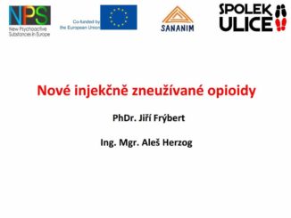 Prezentace Aleše Herzoga (a Jiřího Frýberta z Ulice-agentury sociální práce) na téma Nové opioidy