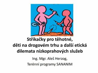 Prezentace na téma Stříkačky pro těhotné, děti na drogovém trhu a další etická dilemata nízkoprahových služeb Aleše Herzoga z konference Etika a Drogy SANANIM 2019